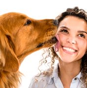 Cute dog licking womans face - isolated over white background